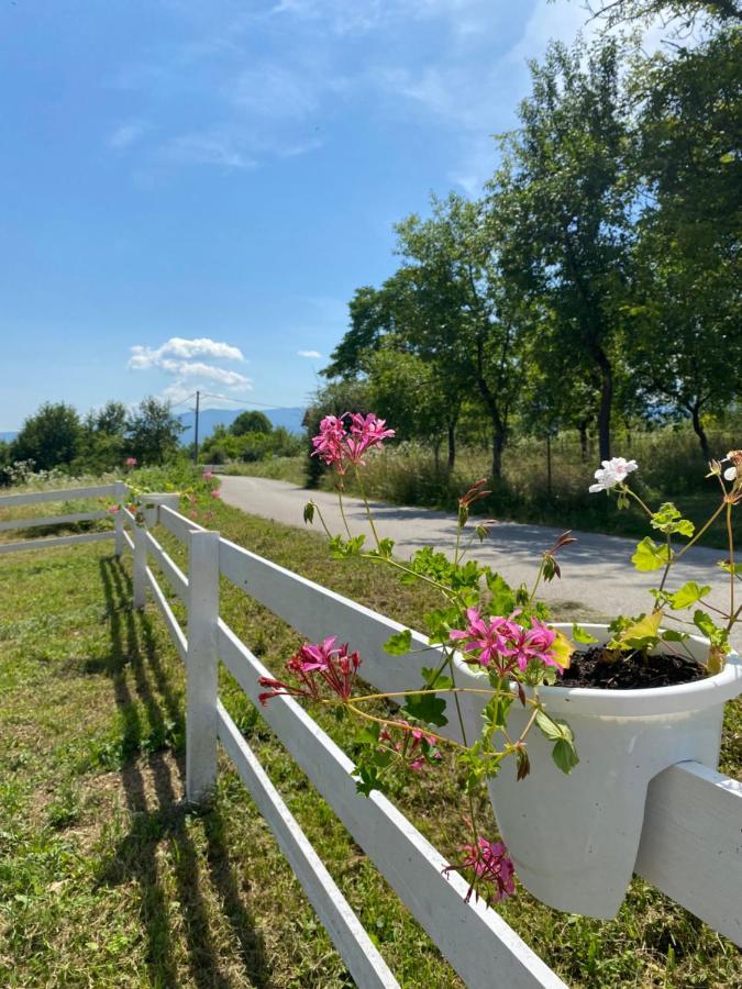 Hill House Emir Villa Bihać Buitenkant foto